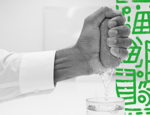 Squeezing Profit from Promotional Investments